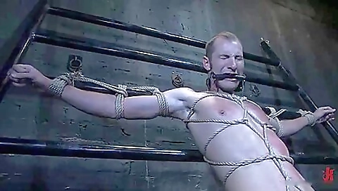 Mas shelter shaped & step dad's fridays