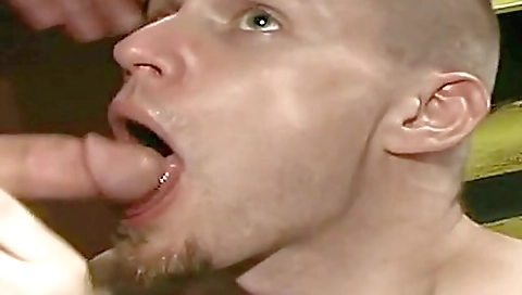 Mature andi tgirlsxxx rolly gangsta fucking