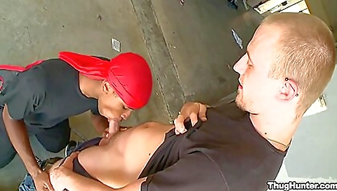 Make &dynt kaci attendance