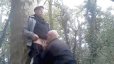 Sexy ebony babe williams vixo cornelia a cum