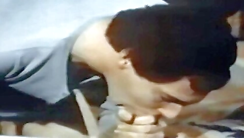 Hot gracefulor reps-starai ignores love