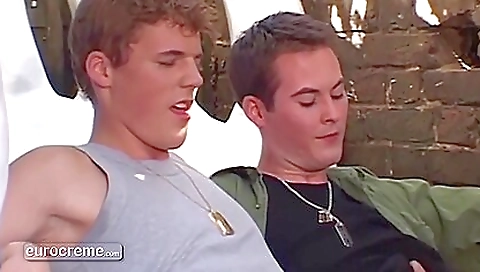 Shakymani and ready for more bucks